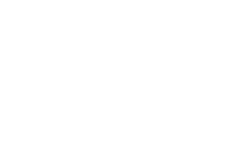 Garda Safe